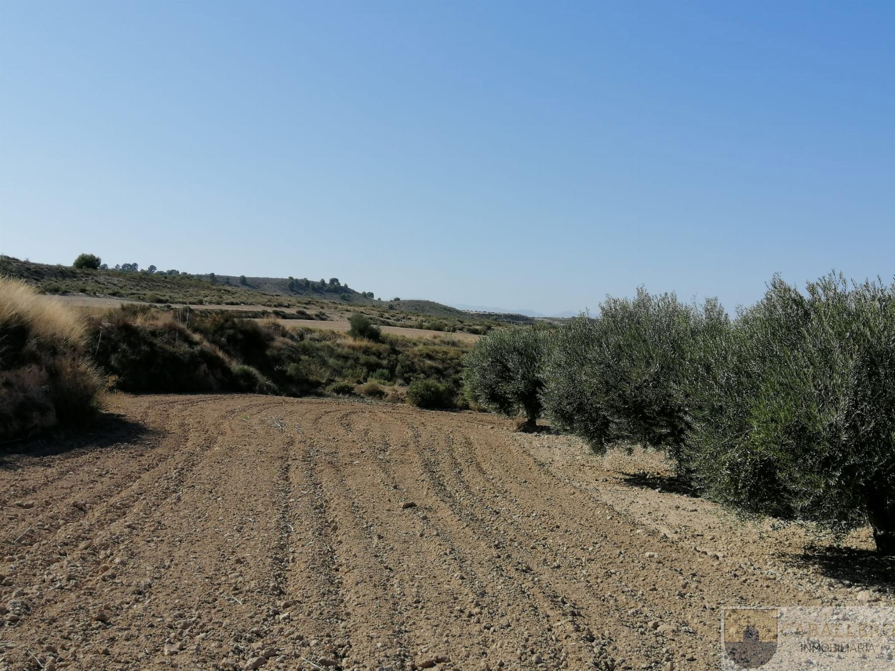 Venta de terreno en Cañada Hermosa