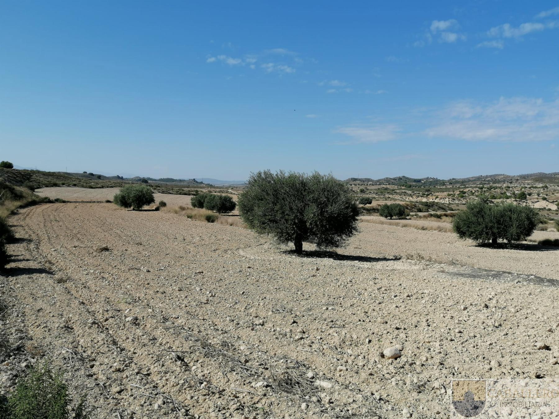 Venta de terreno en Cañada Hermosa