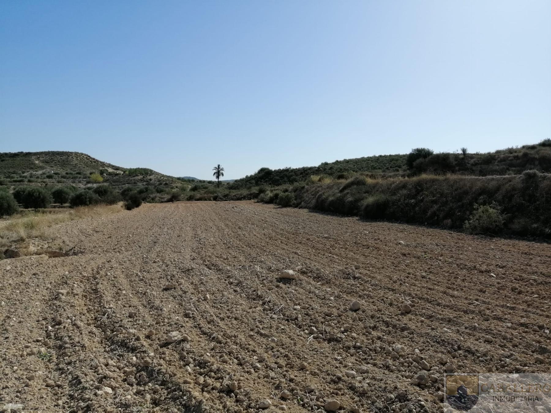 Venta de terreno en Cañada Hermosa