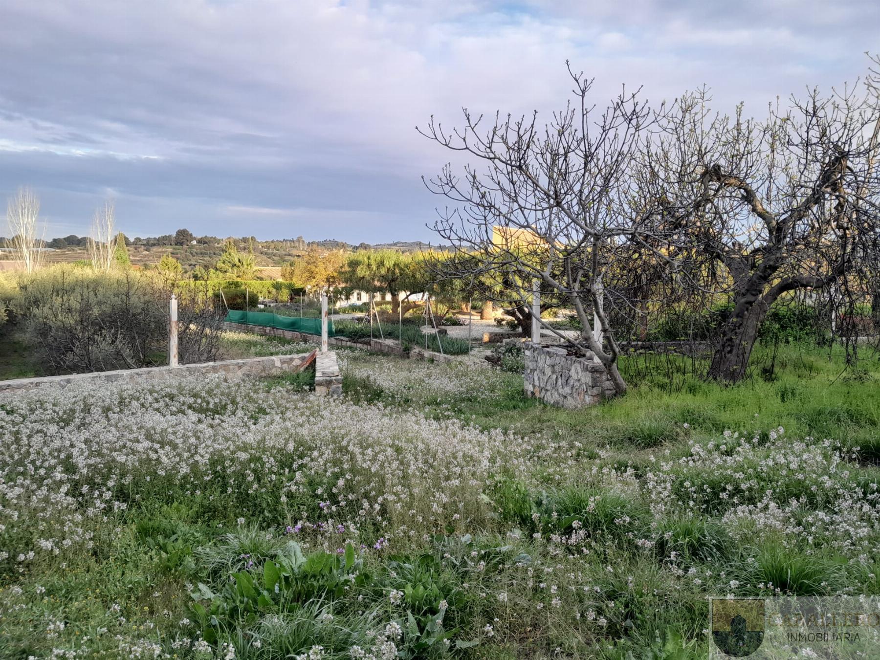 Venta de chalet en Murcia