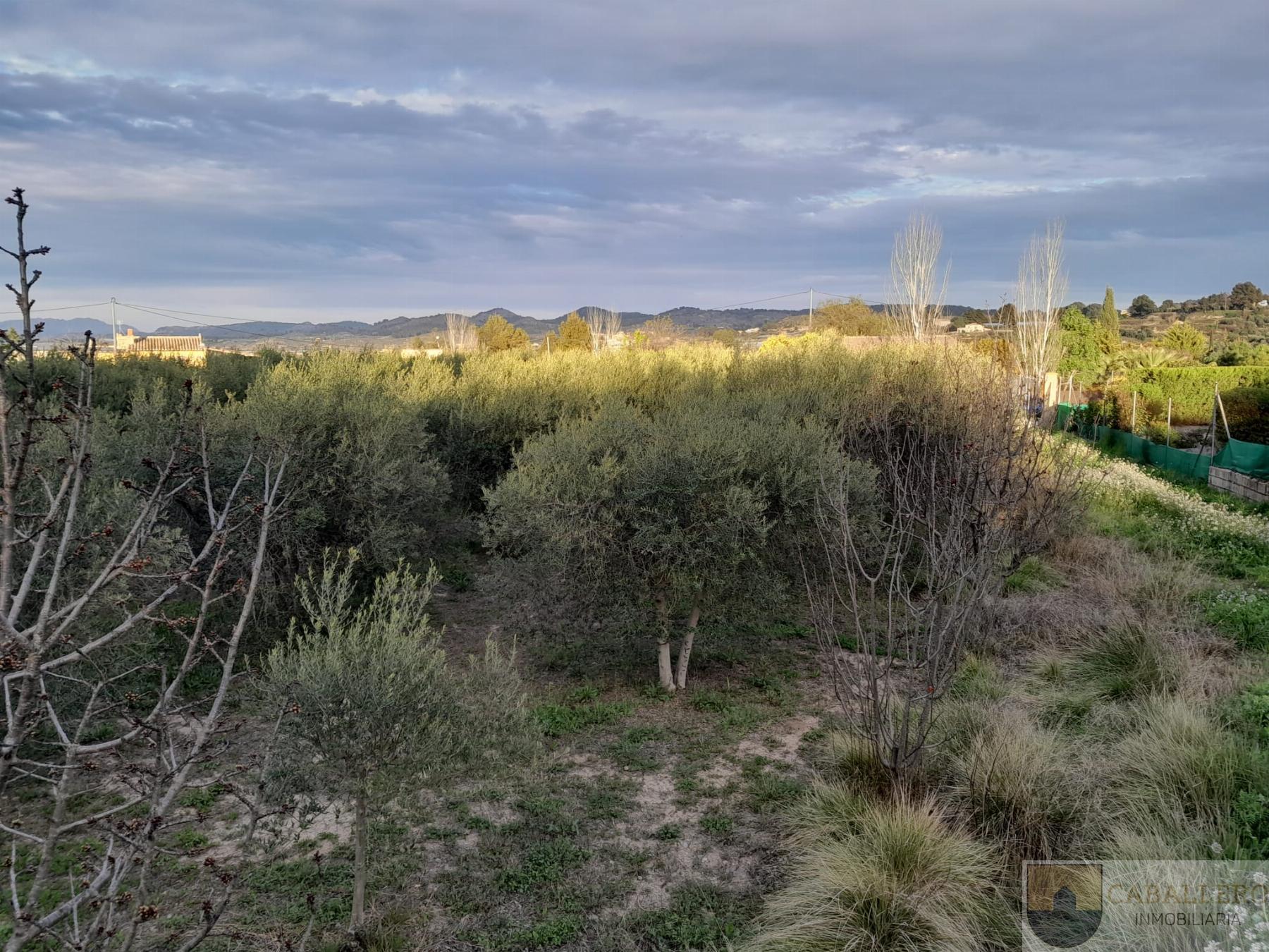 Venta de chalet en Murcia