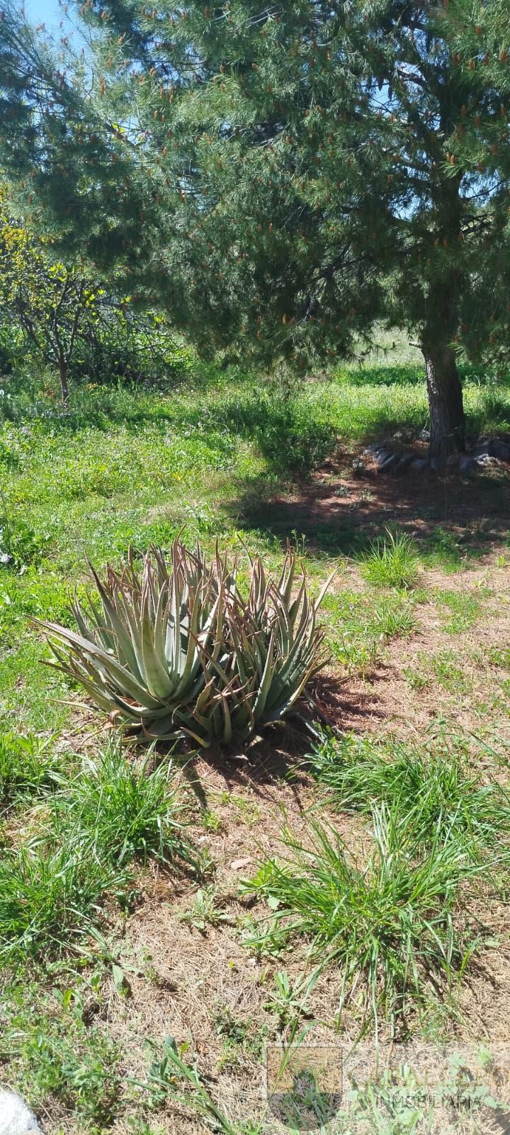 Venta de chalet en Murcia