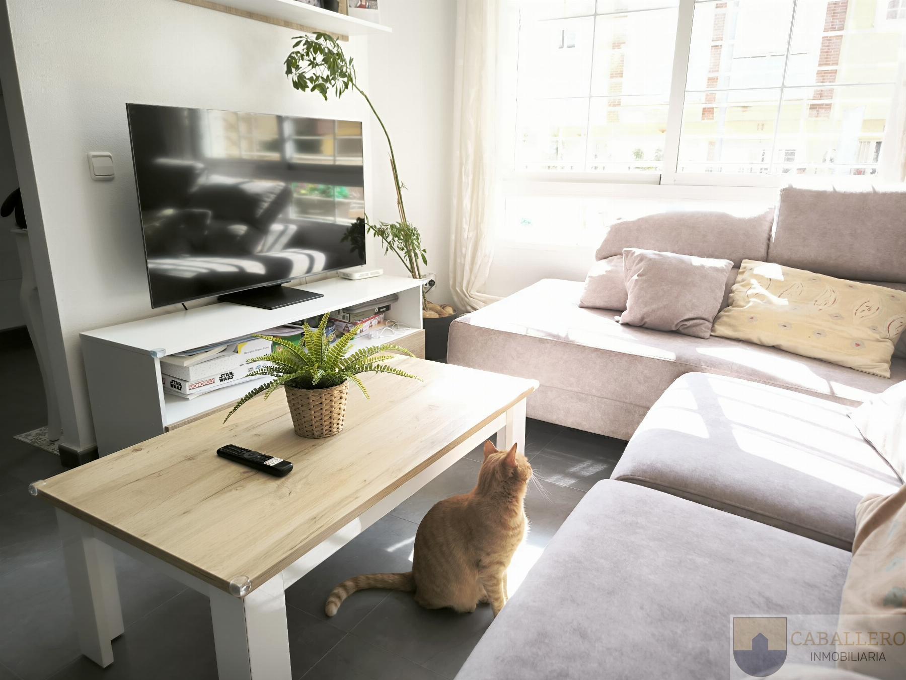 Venta de dúplex en Murcia