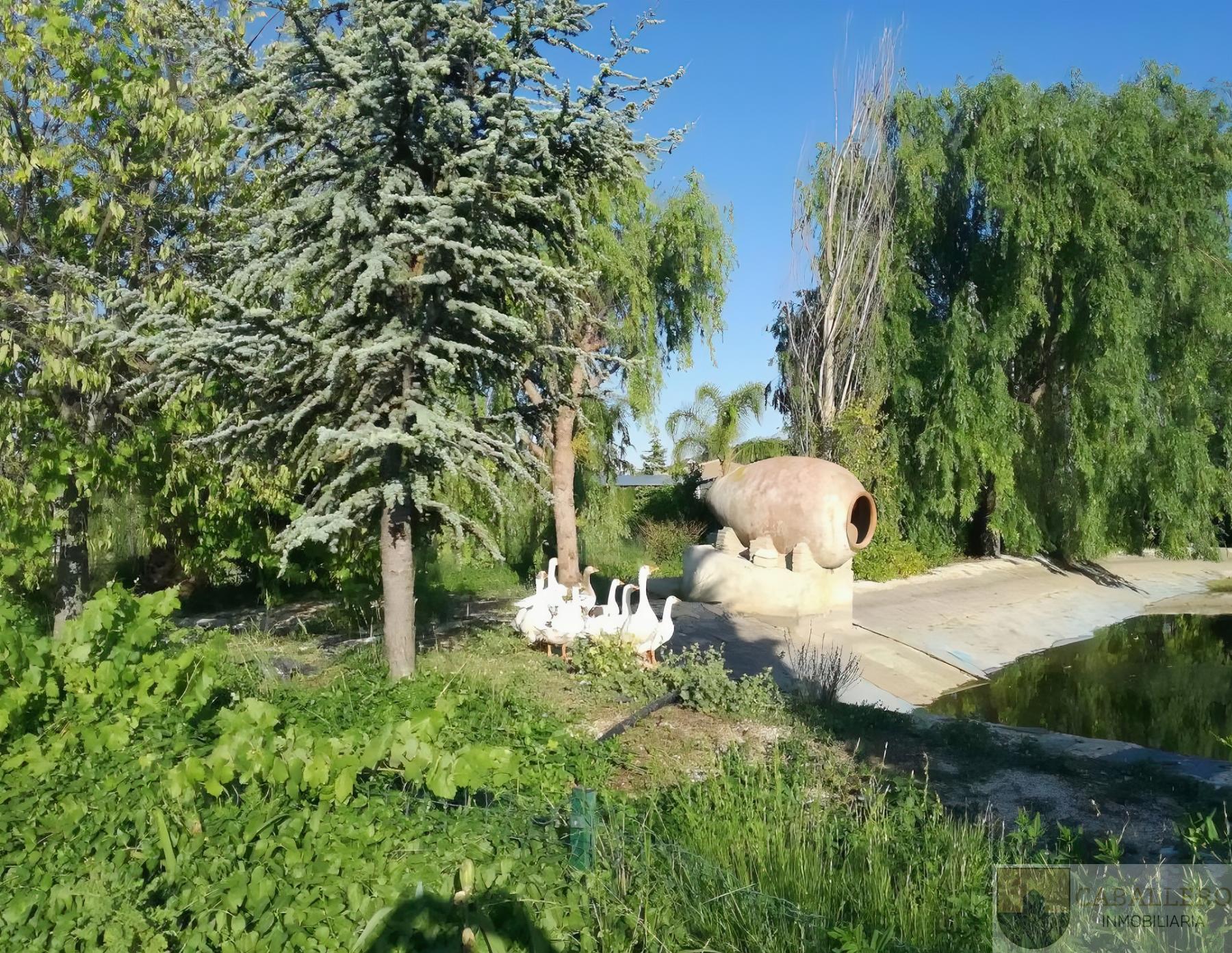 Venta de villa en Cehegín