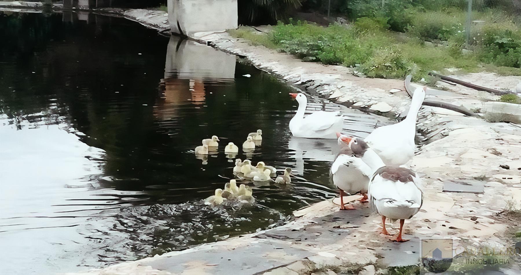 Venta de villa en Cehegín