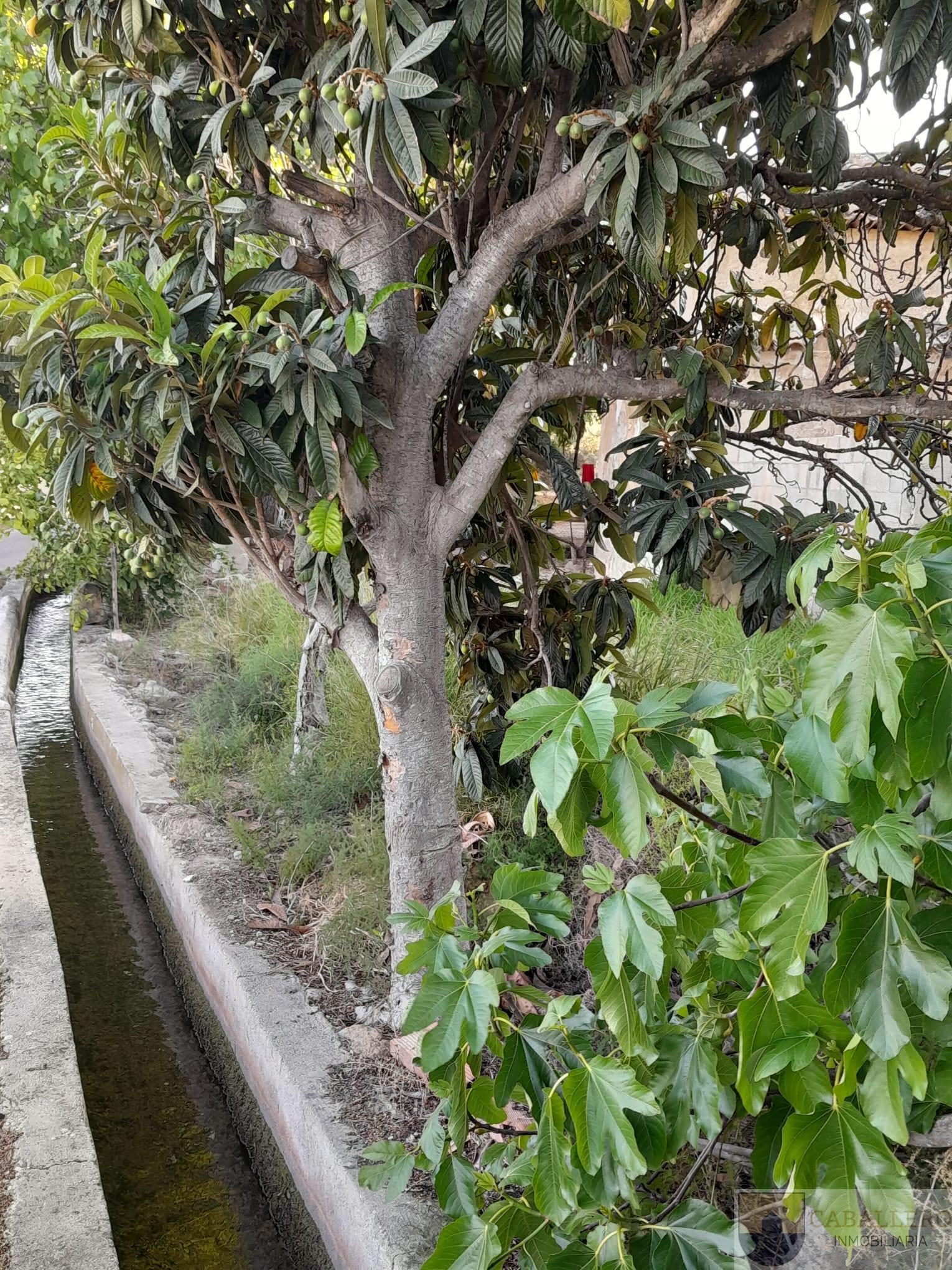 Venta de casa en Murcia