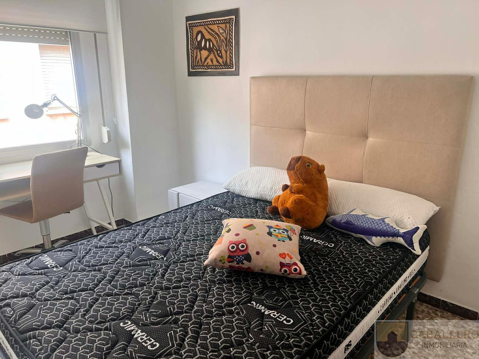 Alquiler de piso en Murcia