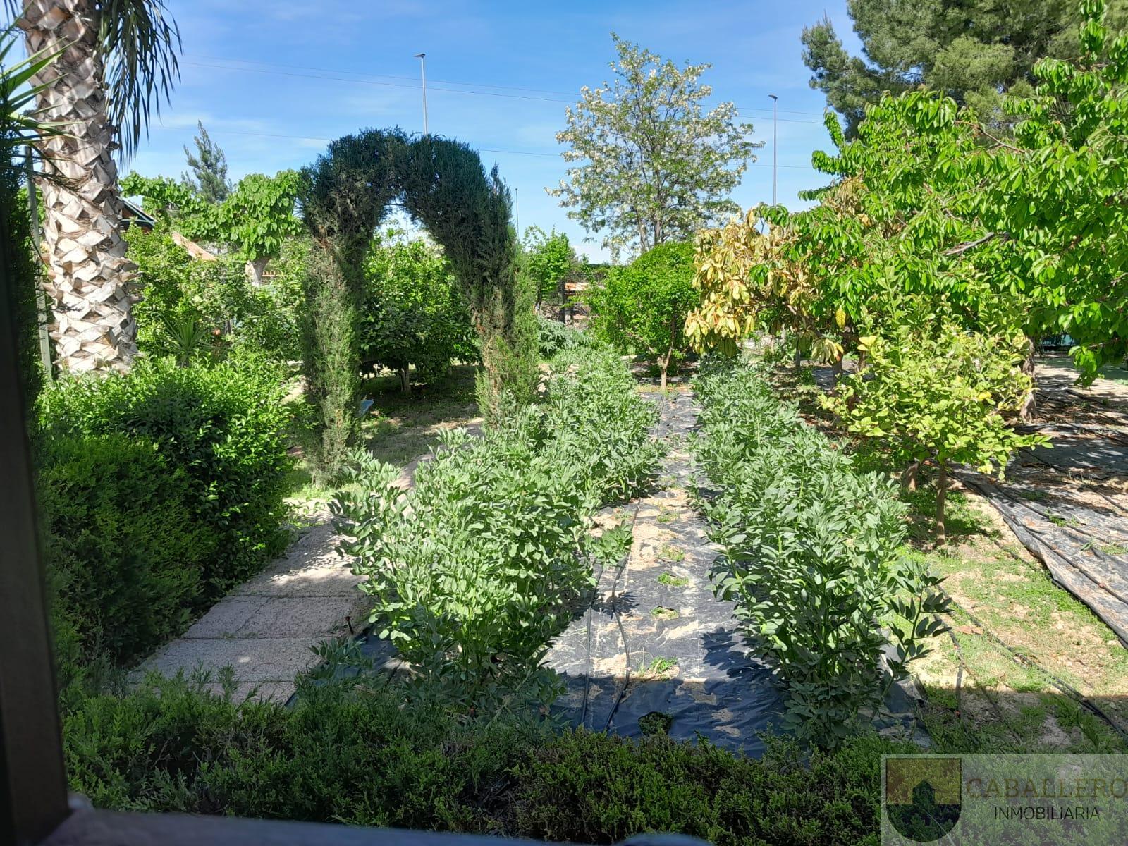 Venta de chalet en Murcia