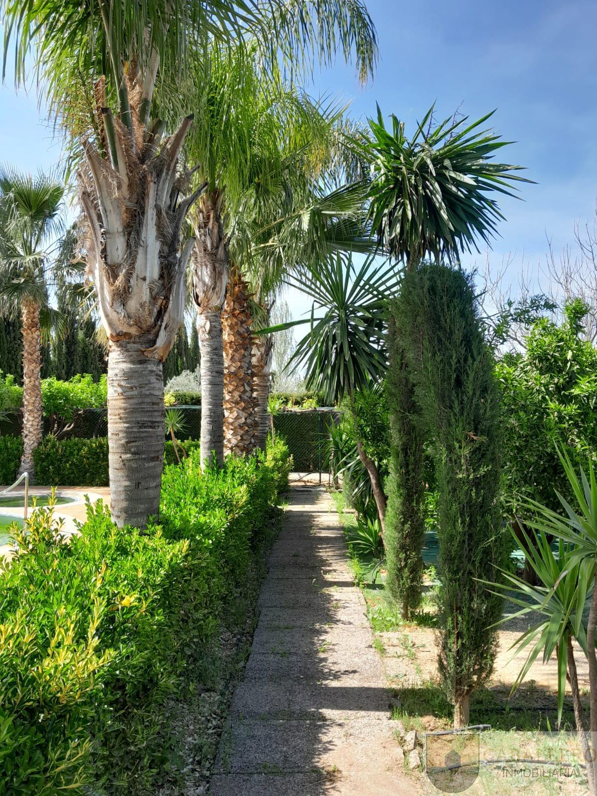 Venta de chalet en Murcia