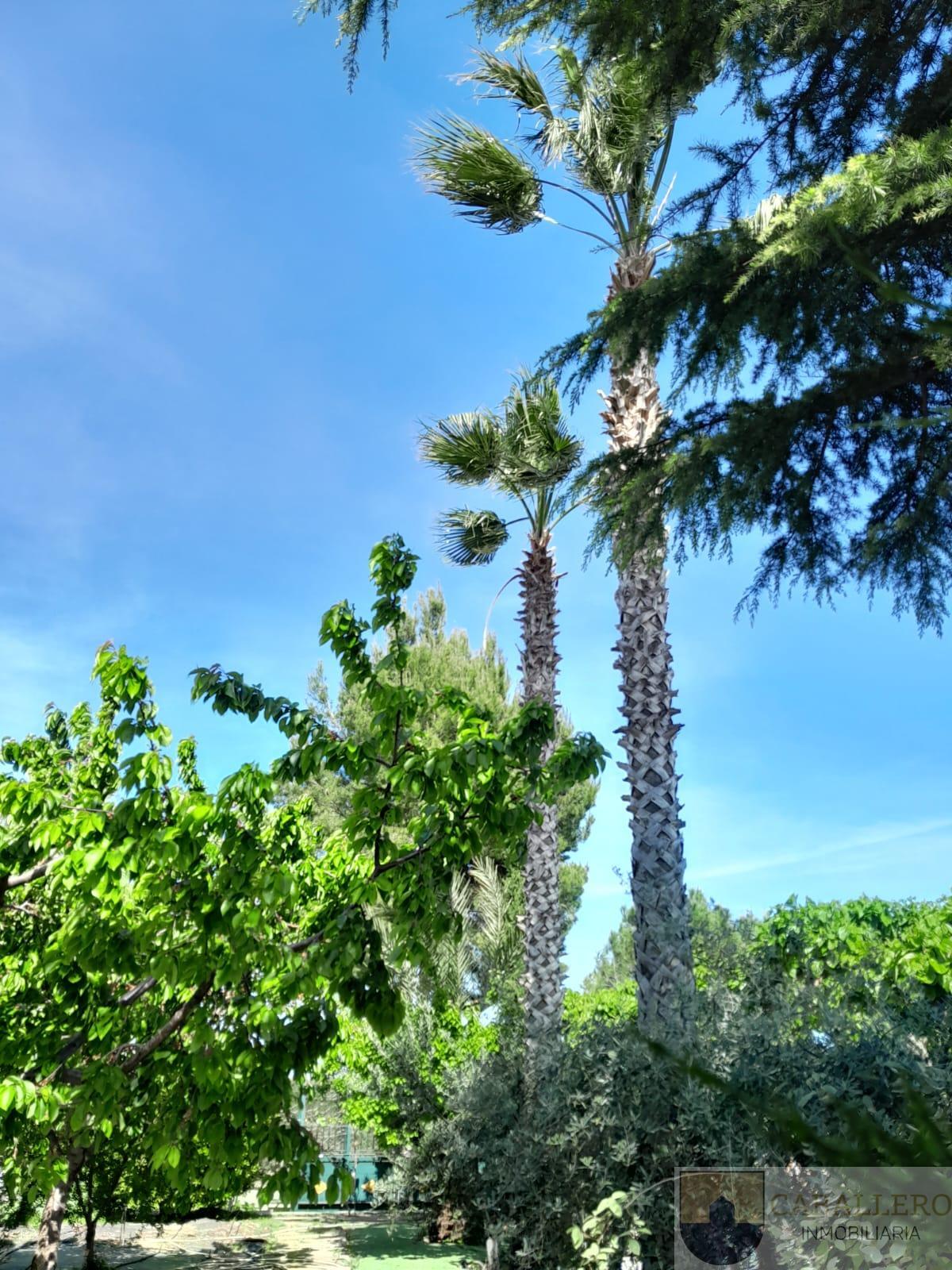 Venta de chalet en Murcia