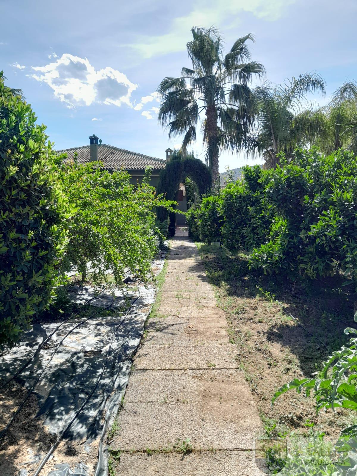 Venta de chalet en Murcia