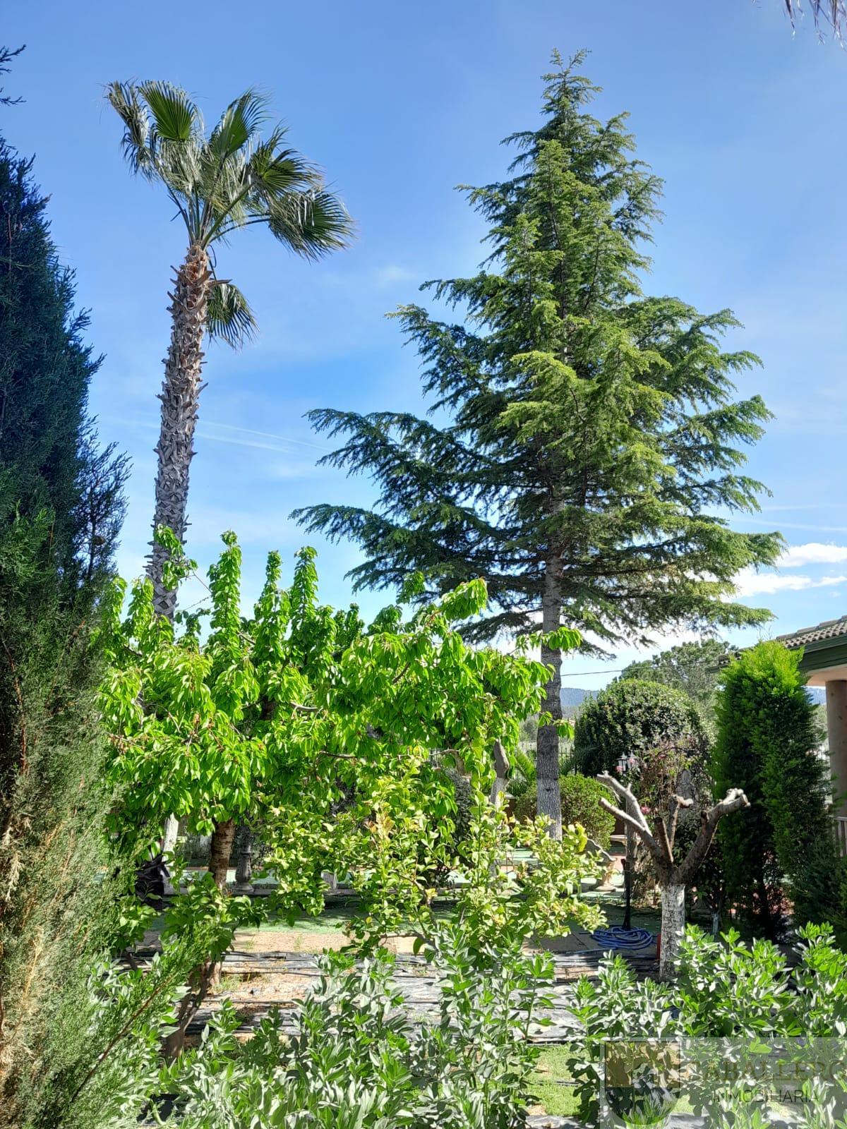 Venta de chalet en Murcia