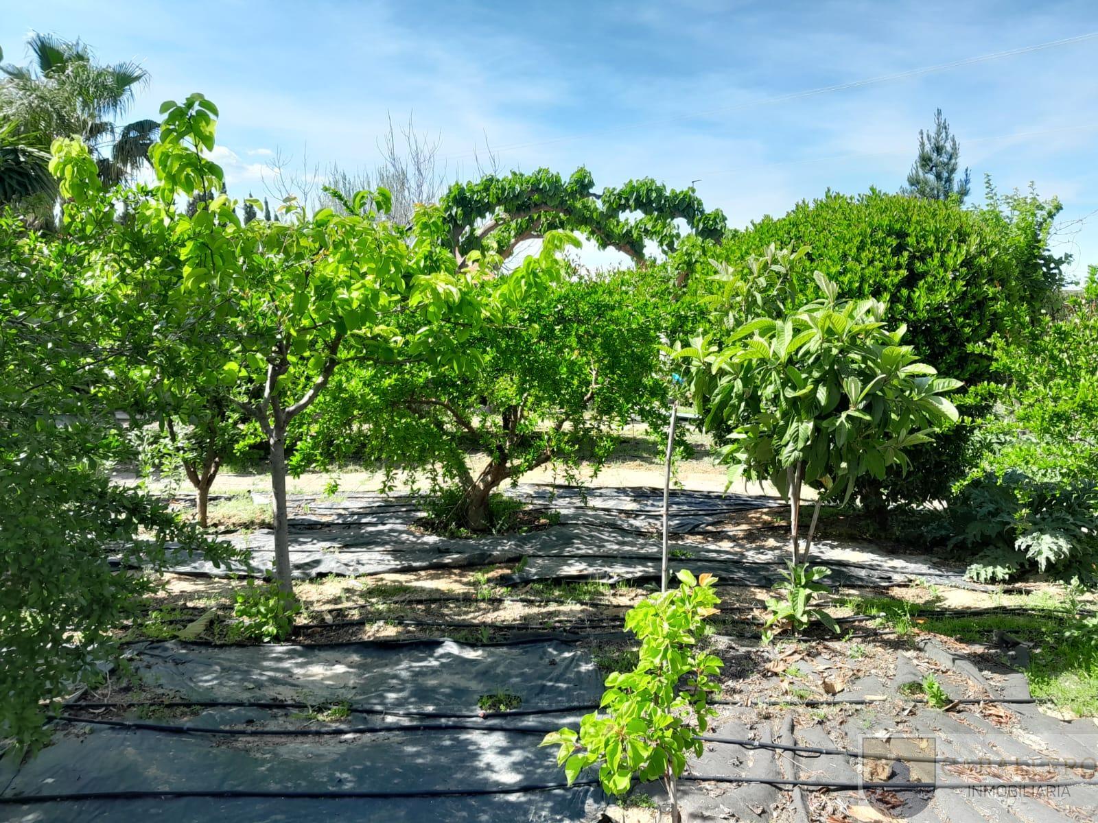 Venta de chalet en Murcia