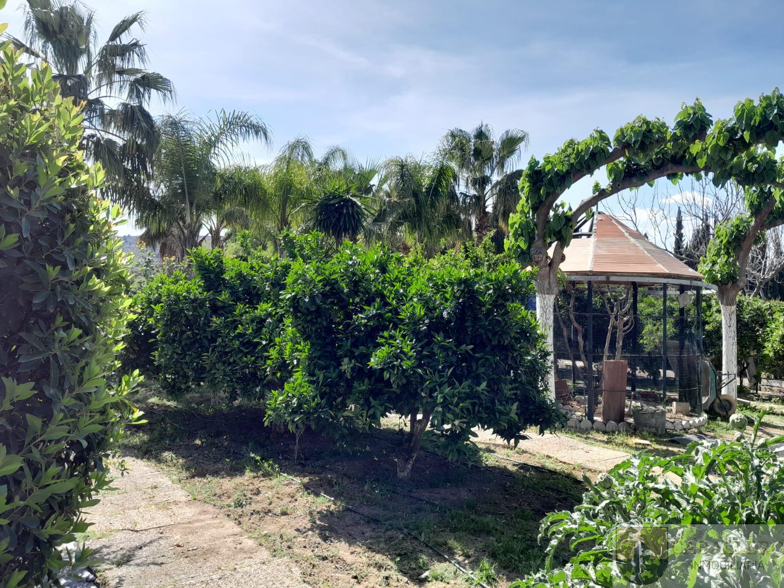 Venta de chalet en Murcia