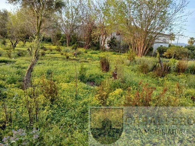 Venta de terreno en Murcia