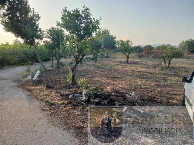 Venta de terreno en Murcia