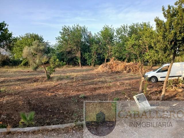 Venta de terreno en Murcia