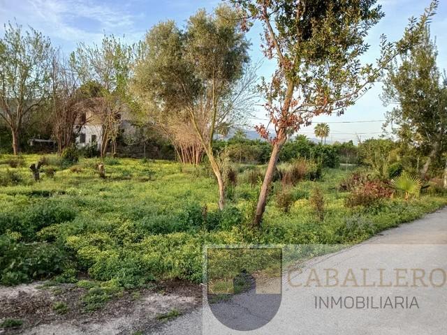 Venta de terreno en Murcia