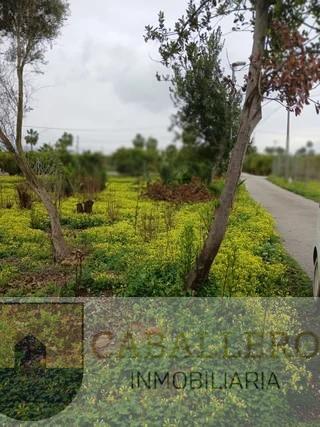 Venta de terreno en Murcia