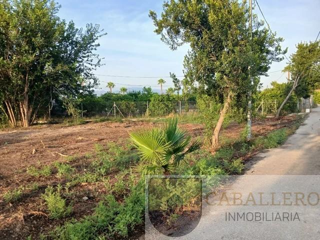 Venta de terreno en Murcia