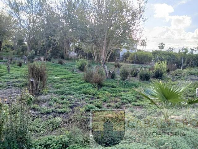 Venta de terreno en Murcia