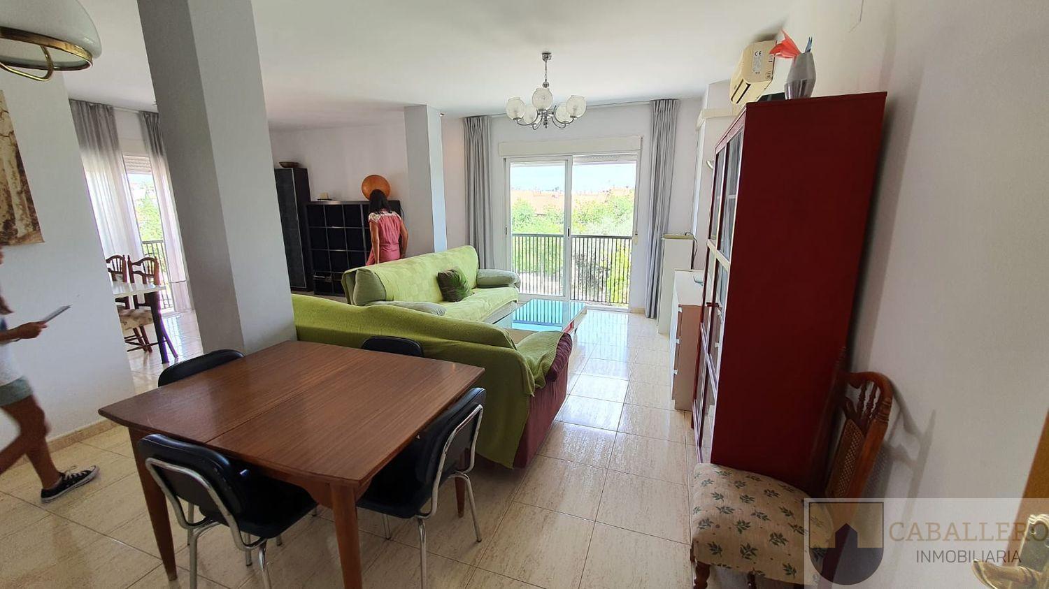 Alquiler de apartamento en Murcia