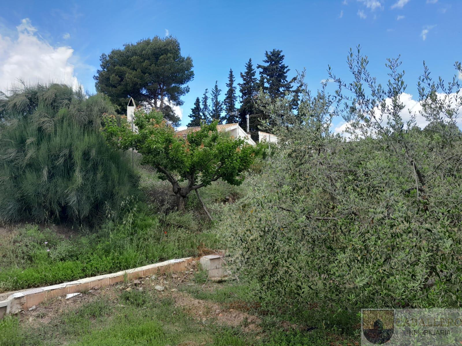 Venta de casa en Murcia