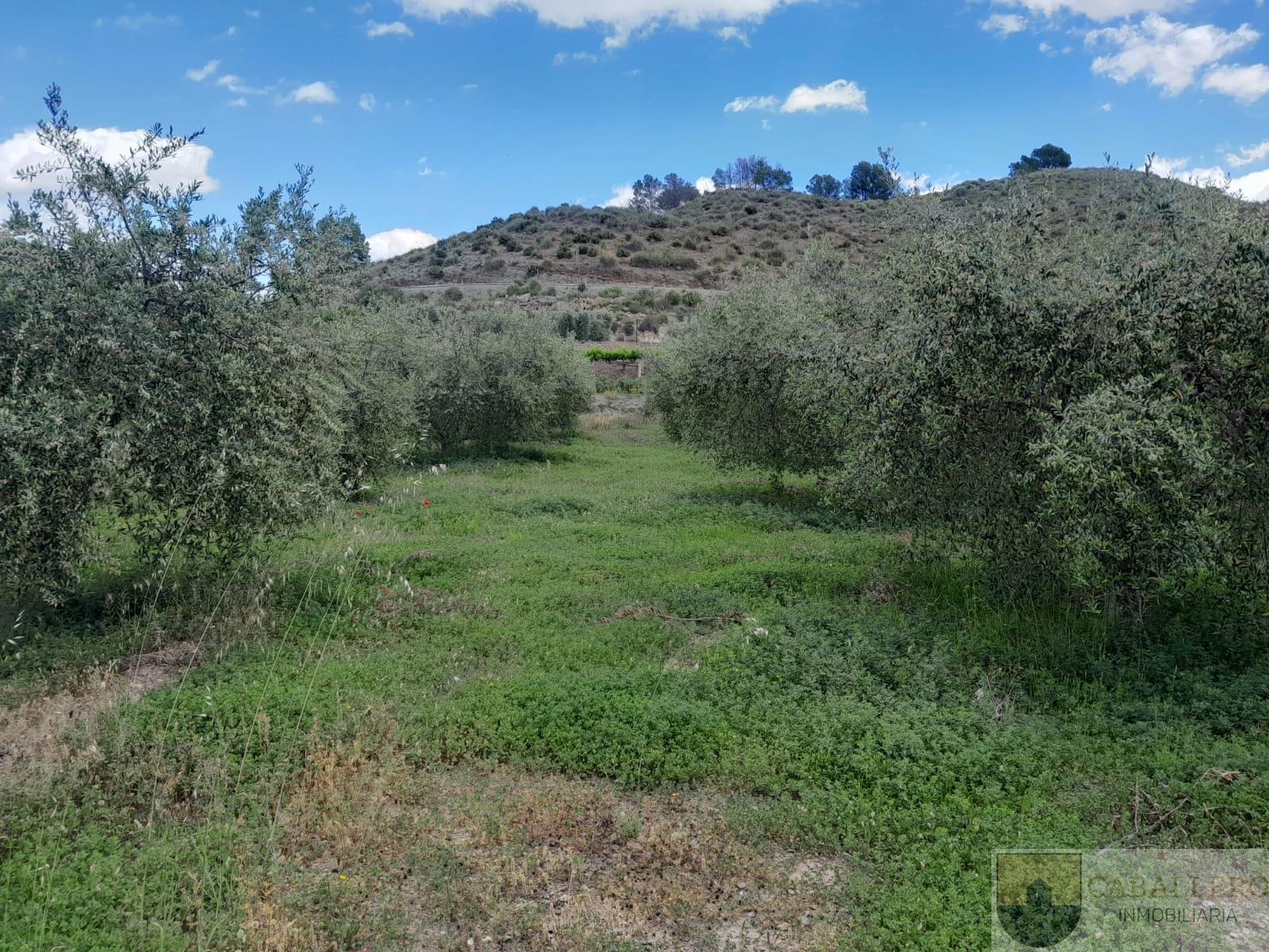 Venta de casa en Murcia