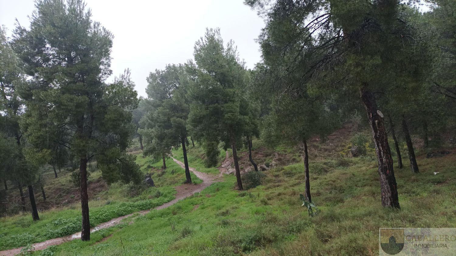 Alquiler de piso en Murcia
