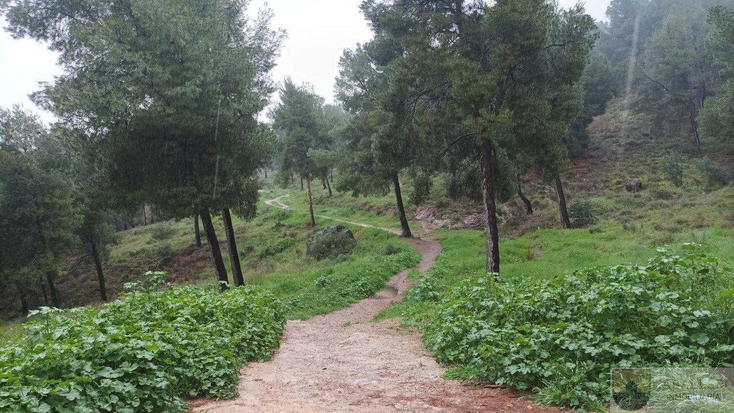 Alquiler de piso en Murcia