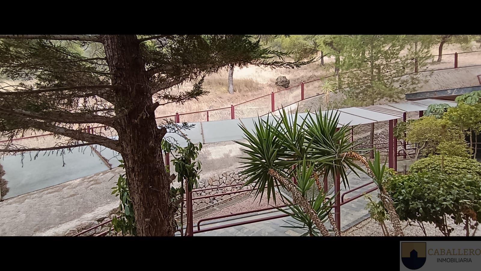 Alquiler de piso en Murcia