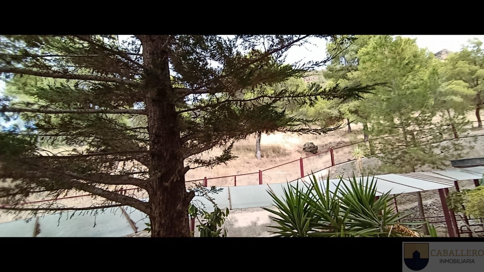 Alquiler de piso en Murcia