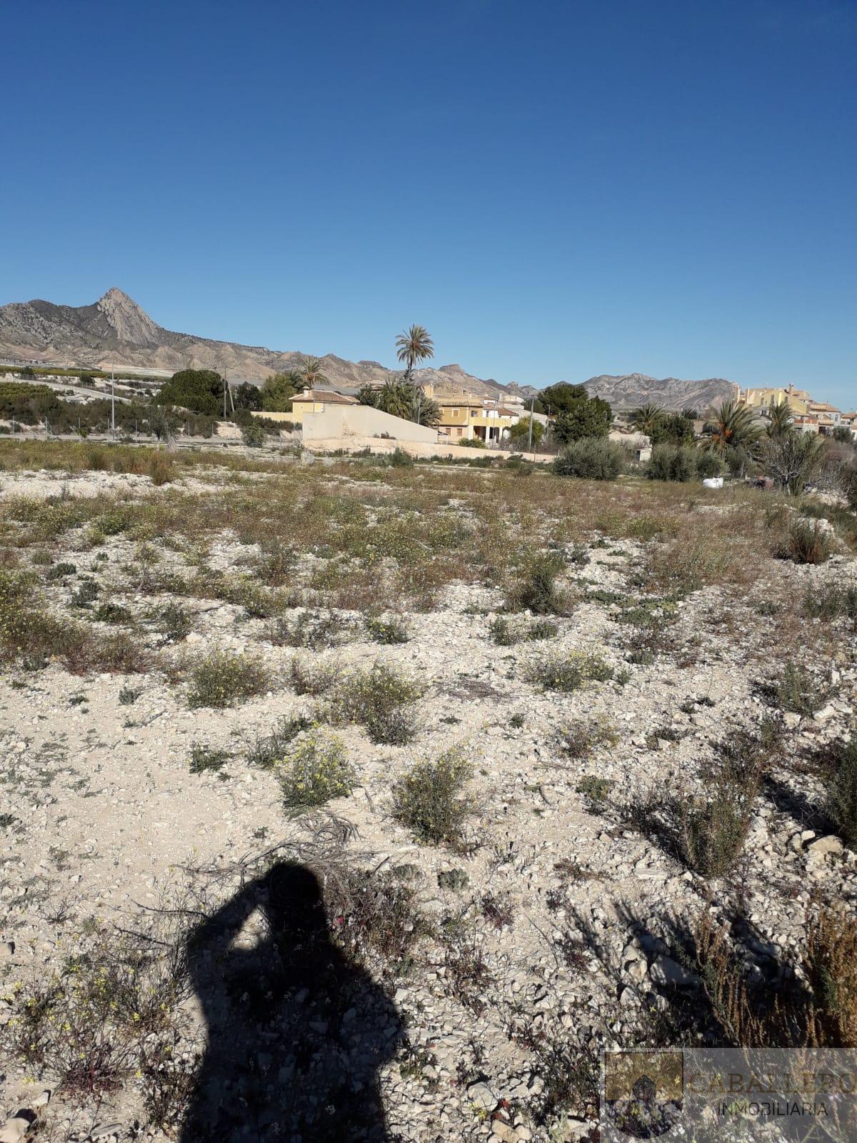 Venta de terreno en Murcia