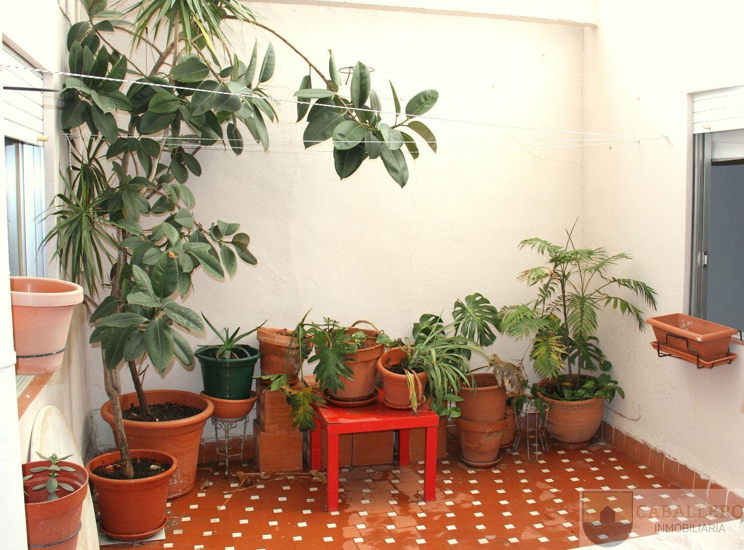 Alquiler de piso en Murcia