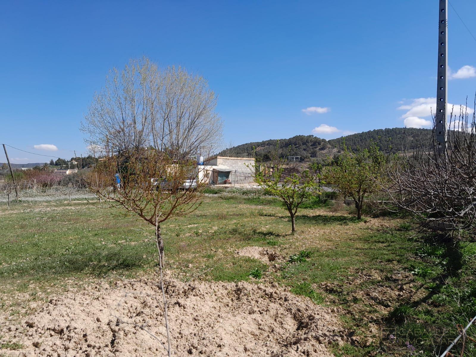 Venta de terreno en Cehegín