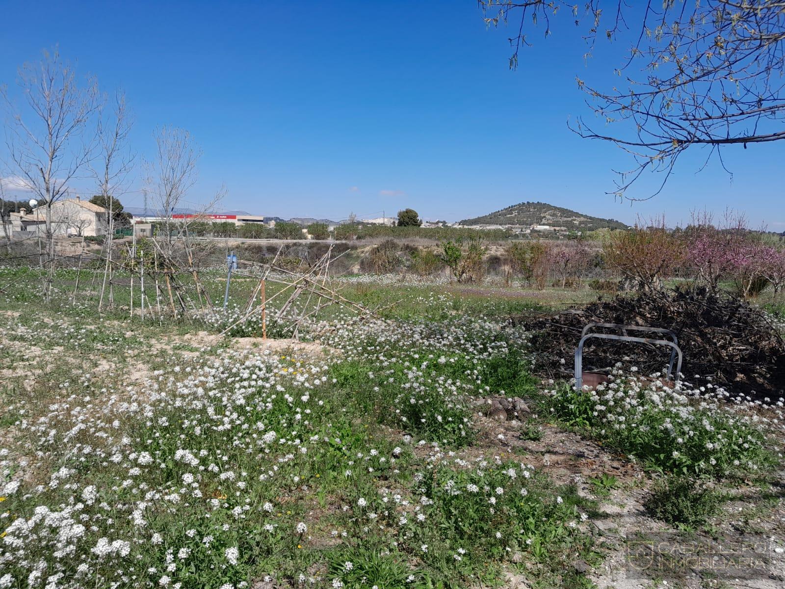 Venta de terreno en Cehegín