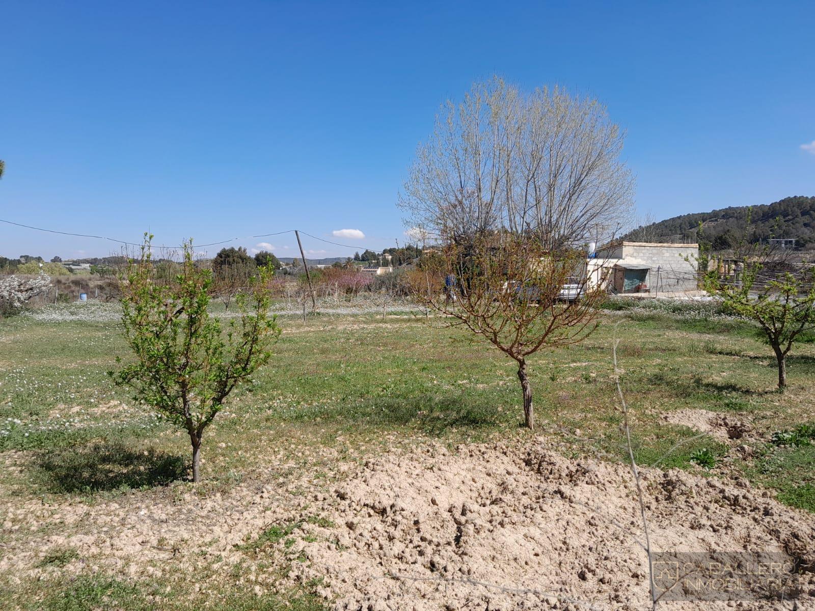 Venta de terreno en Cehegín