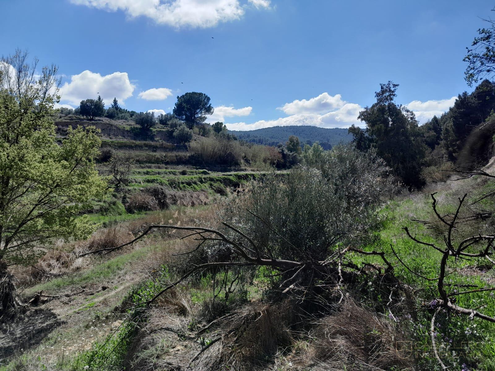 Venta de terreno en Cehegín