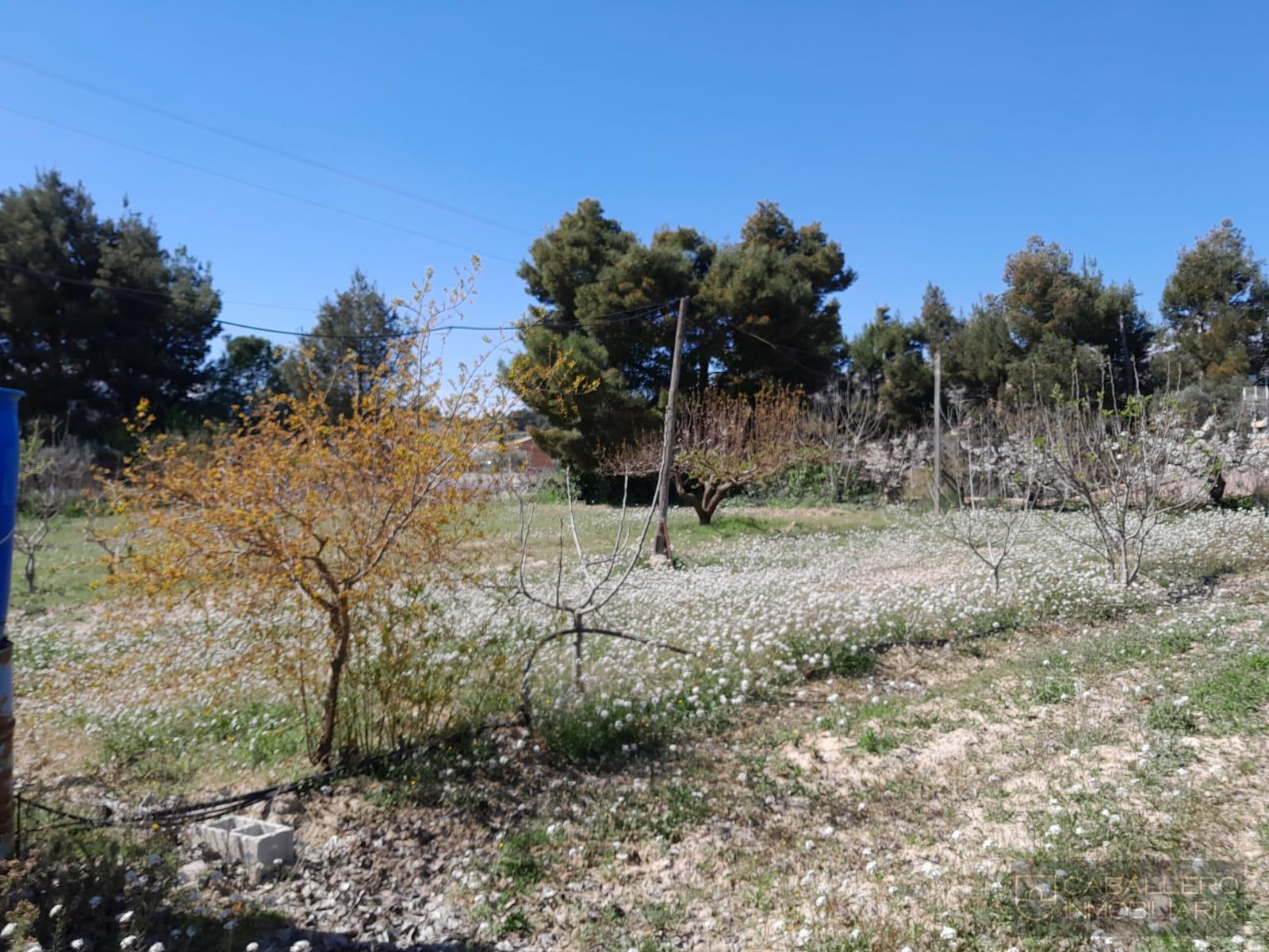 Venta de terreno en Cehegín