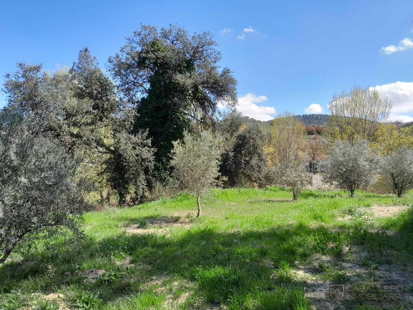 Venta de terreno en Cehegín