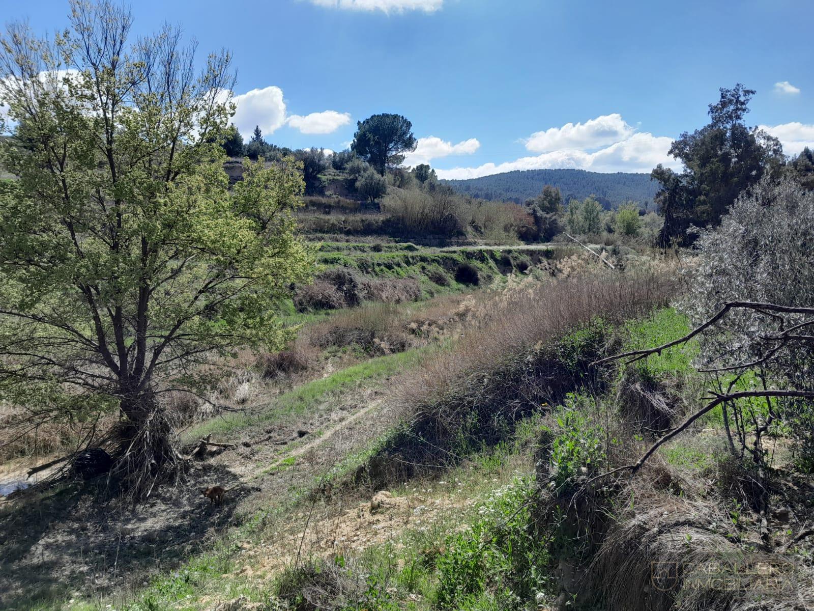 Venta de terreno en Cehegín