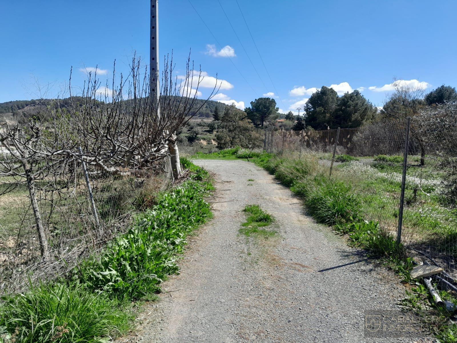 Venta de terreno en Cehegín