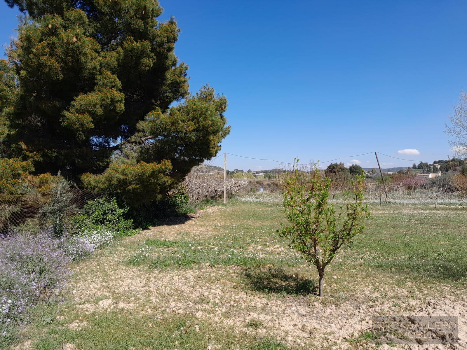 Venta de terreno en Cehegín