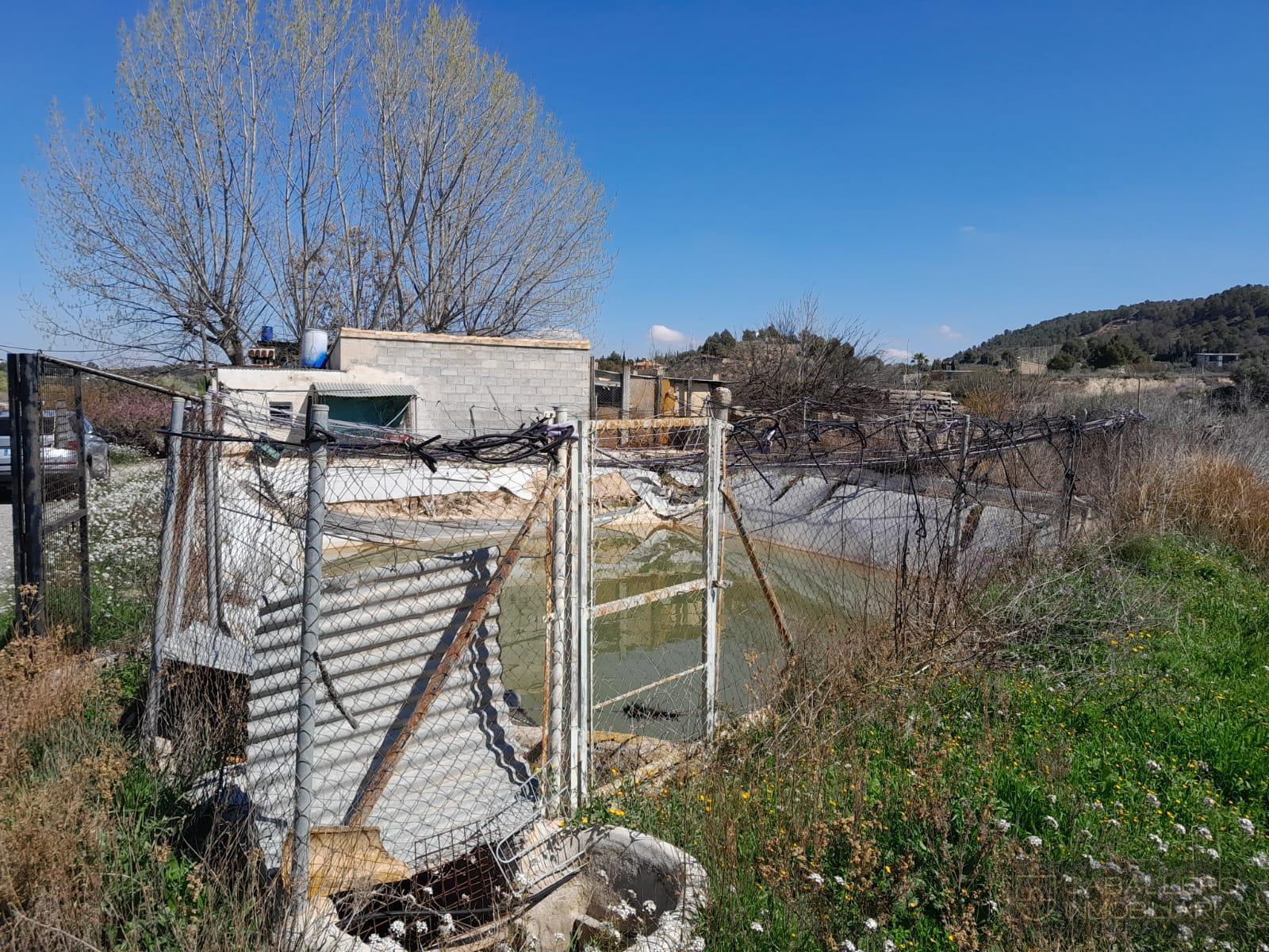 Venta de terreno en Cehegín