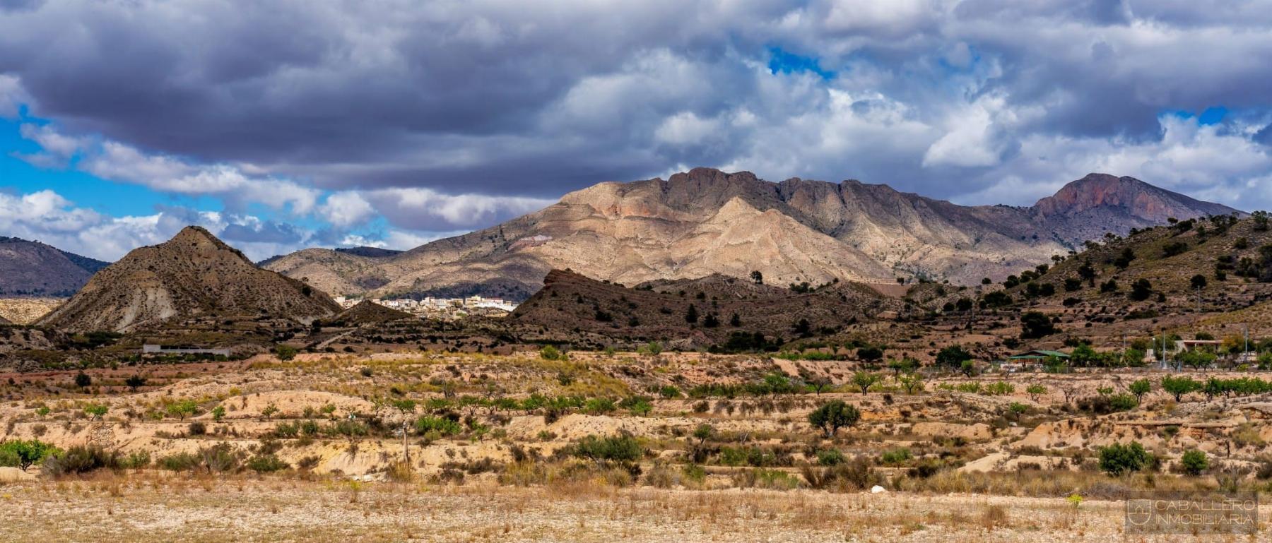 For sale of land in Murcia