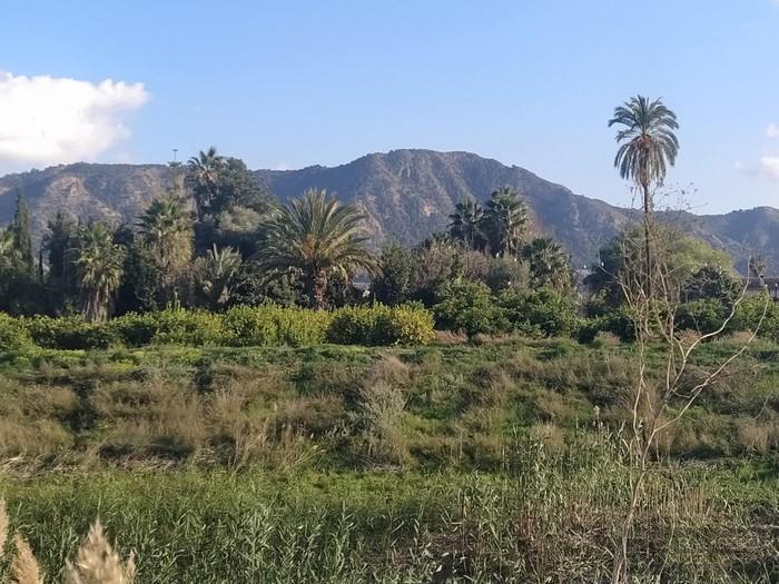Venta de terreno en Murcia