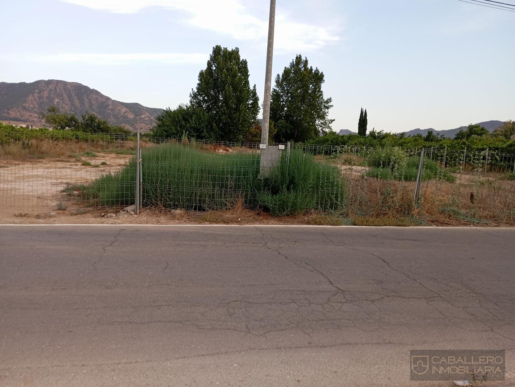 For sale of land in Murcia