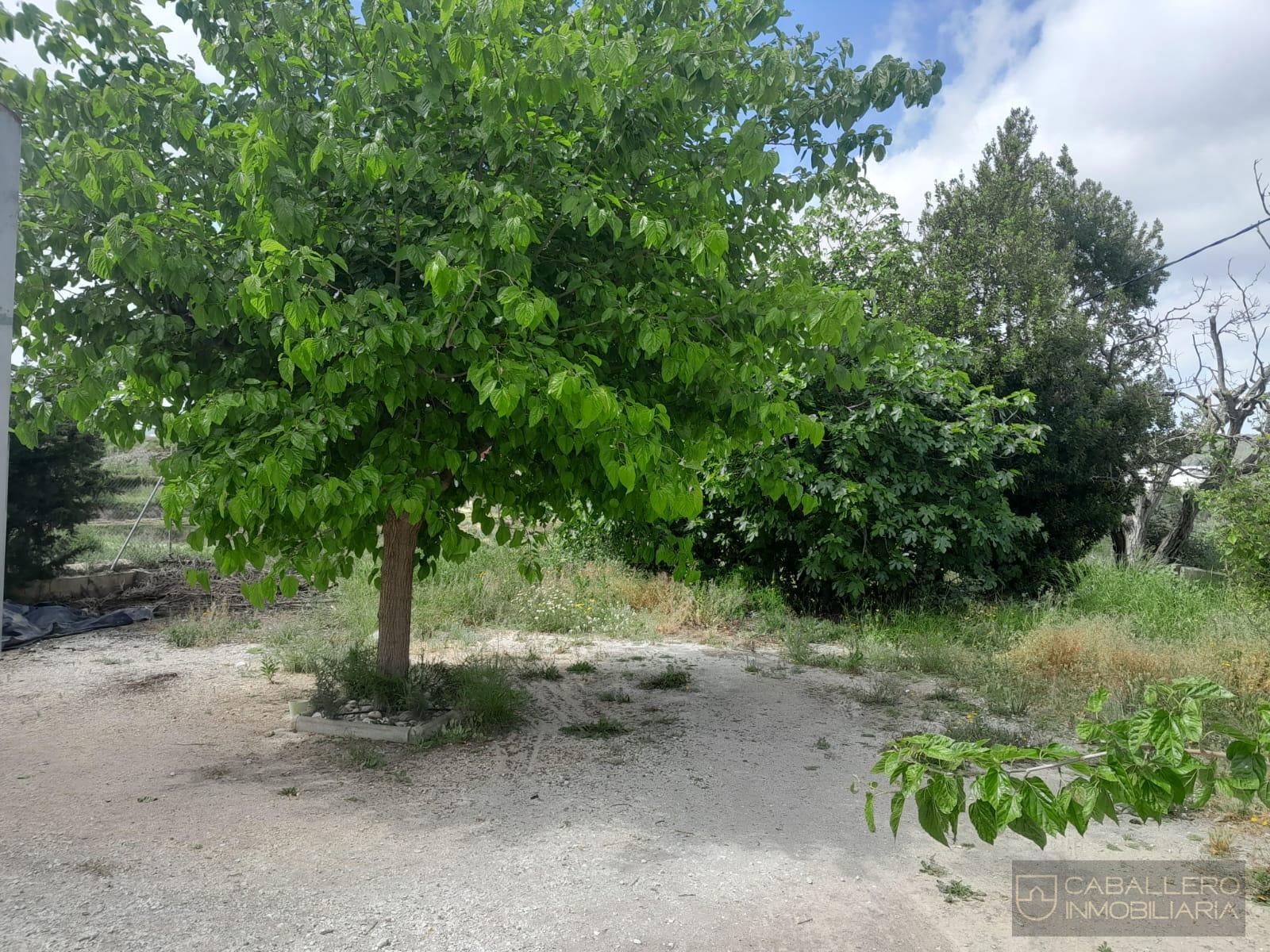 Venta de casa en Murcia
