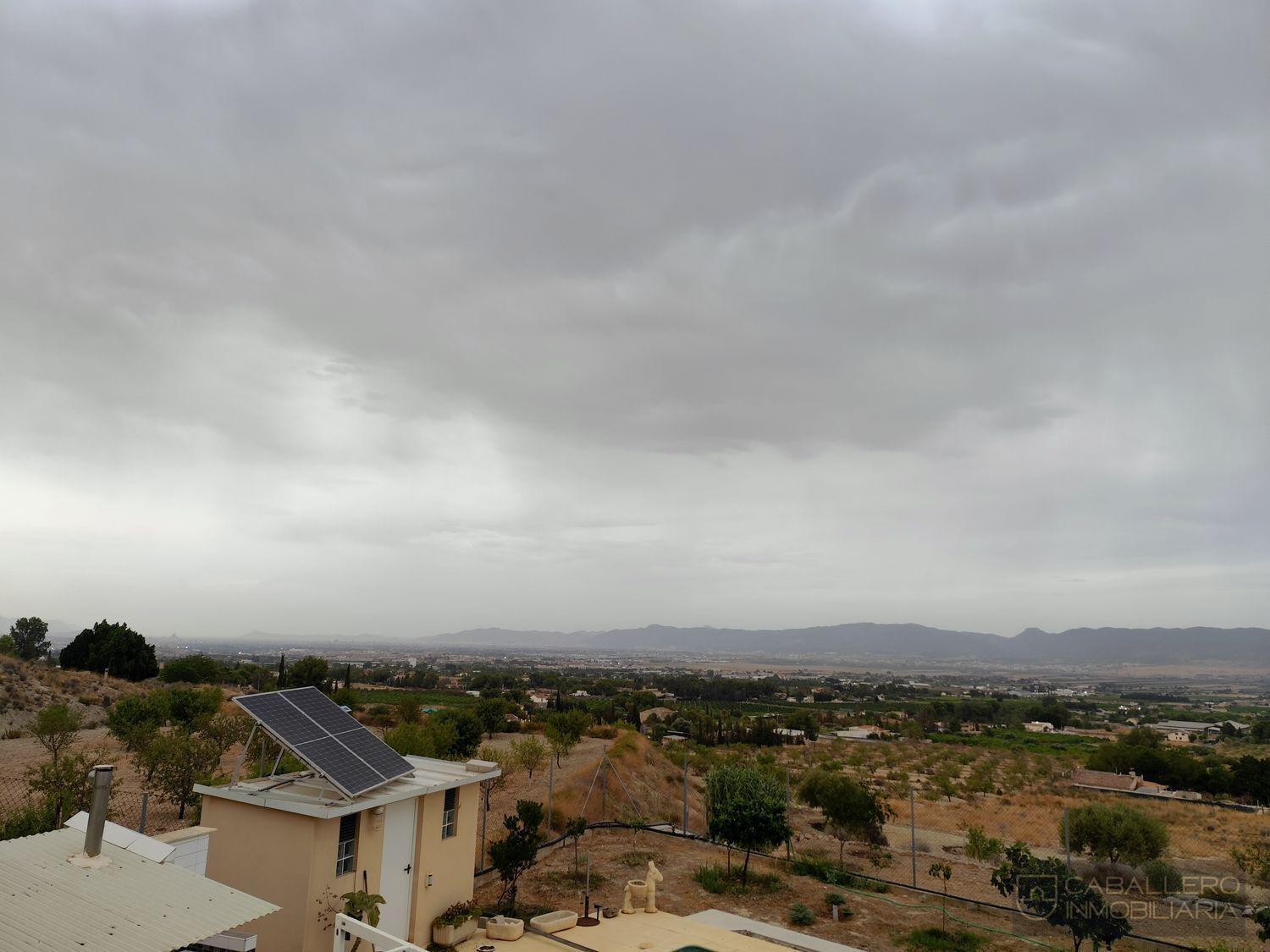Venta de finca rústica en Murcia