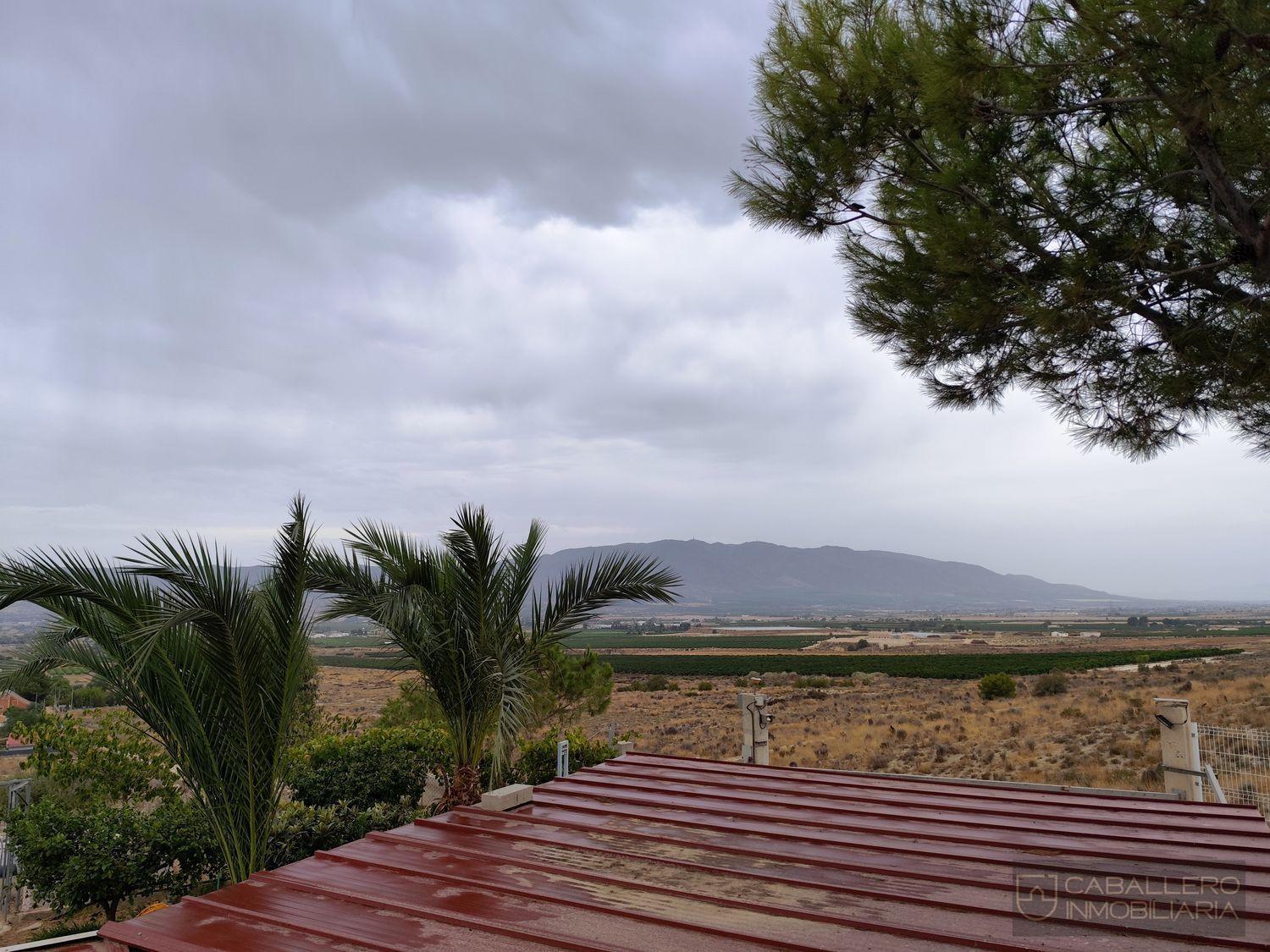 Venta de finca rústica en Murcia